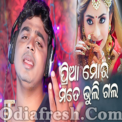 Priya Mora Mate Bhuli Jiba - Odia New Sad Song (Bubun Kumar)
